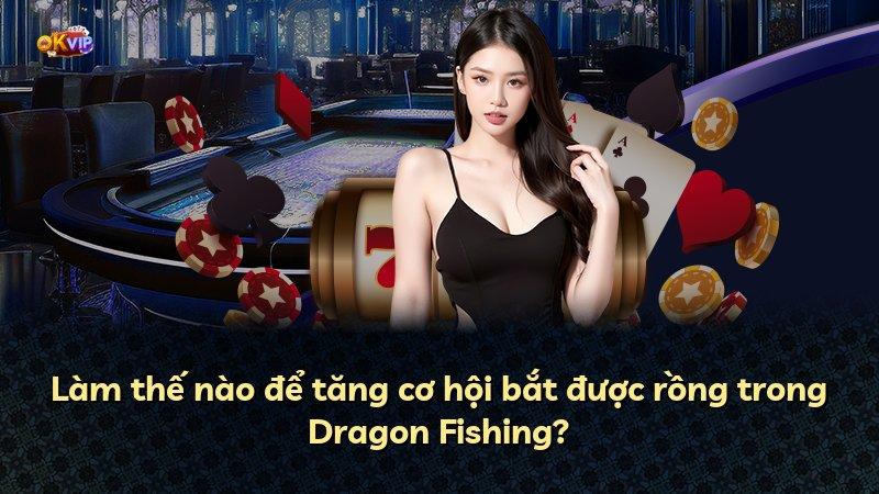 Làm thế nào để tăng cơ hội bắt được rồng trong Dragon Fishing?