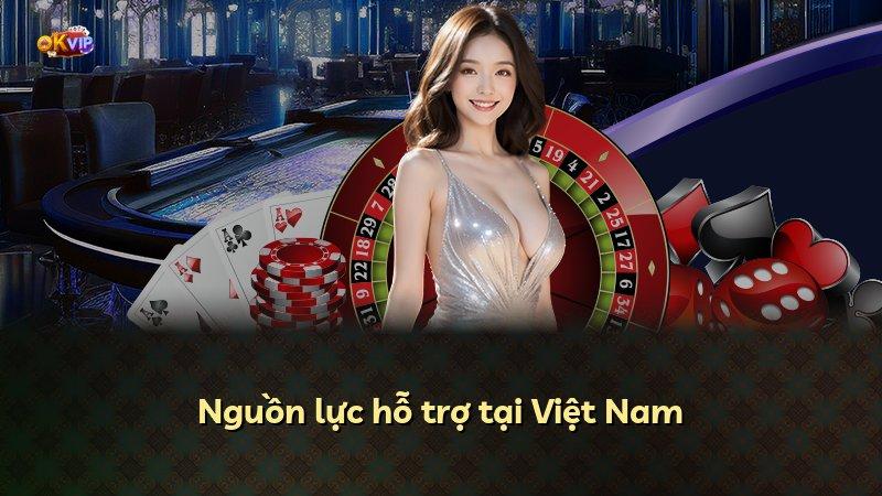Nguồn lực hỗ trợ tại Việt Nam