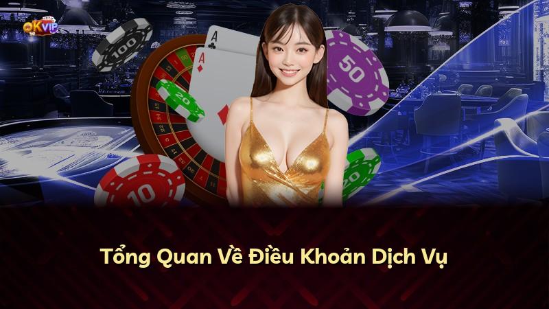 Tổng Quan Về Điều Khoản Dịch Vụ