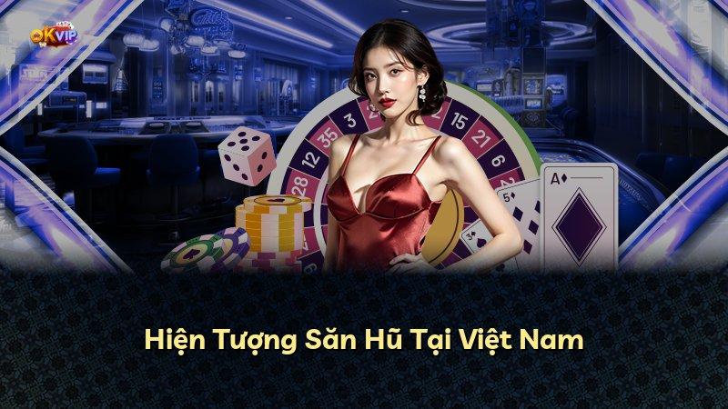 Hiện Tượng Săn Hũ Tại Việt Nam